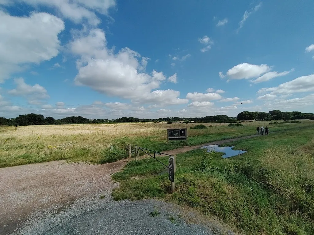 Centre Road Car Park, Wanstead Flats