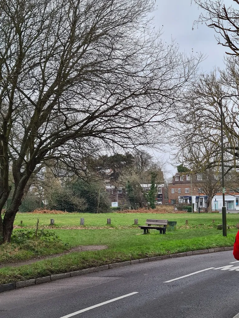 Chislehurst Commons Nature Reserve
