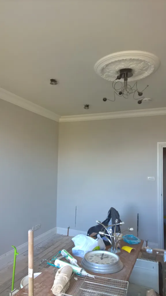 CIPRIAN MR DECORATOR