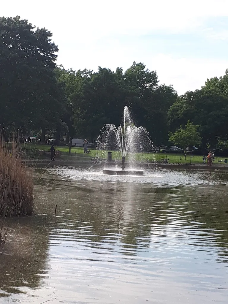 Clapton Common