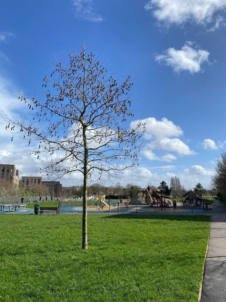 Colindale Park