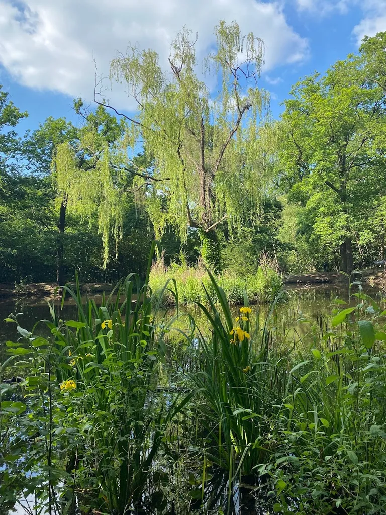 Conduit Pond