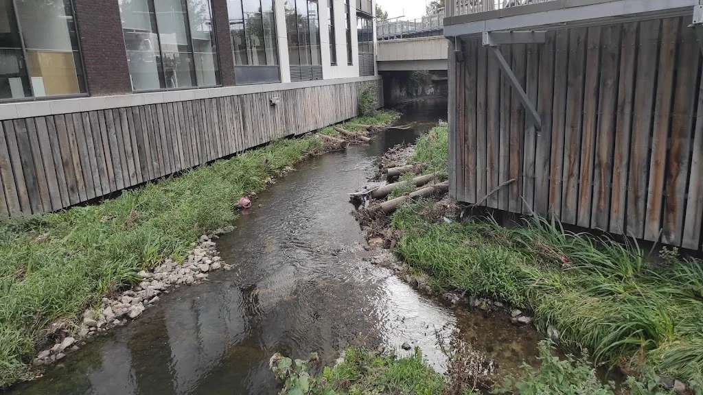 Confluence Park