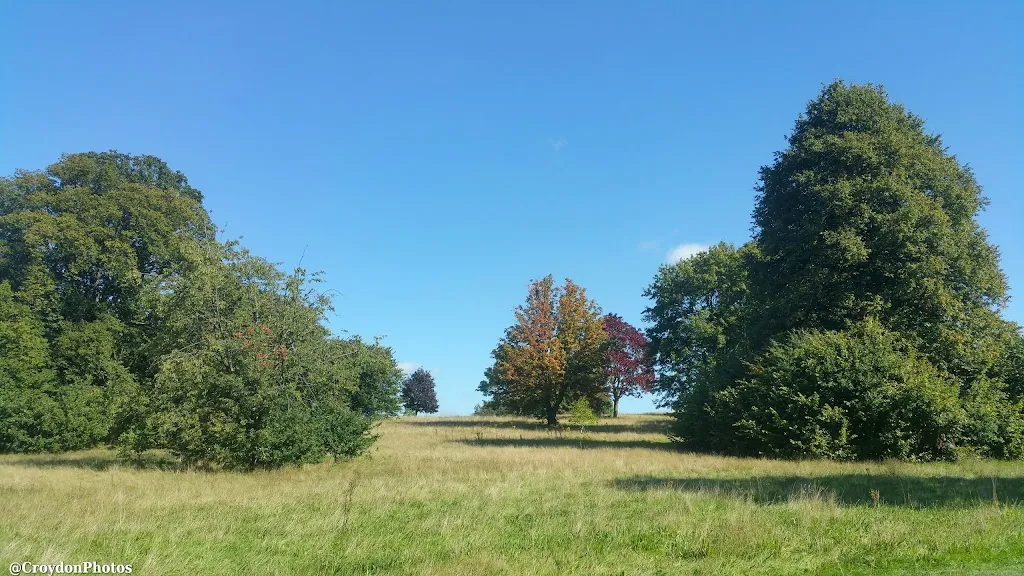 Coombe Park