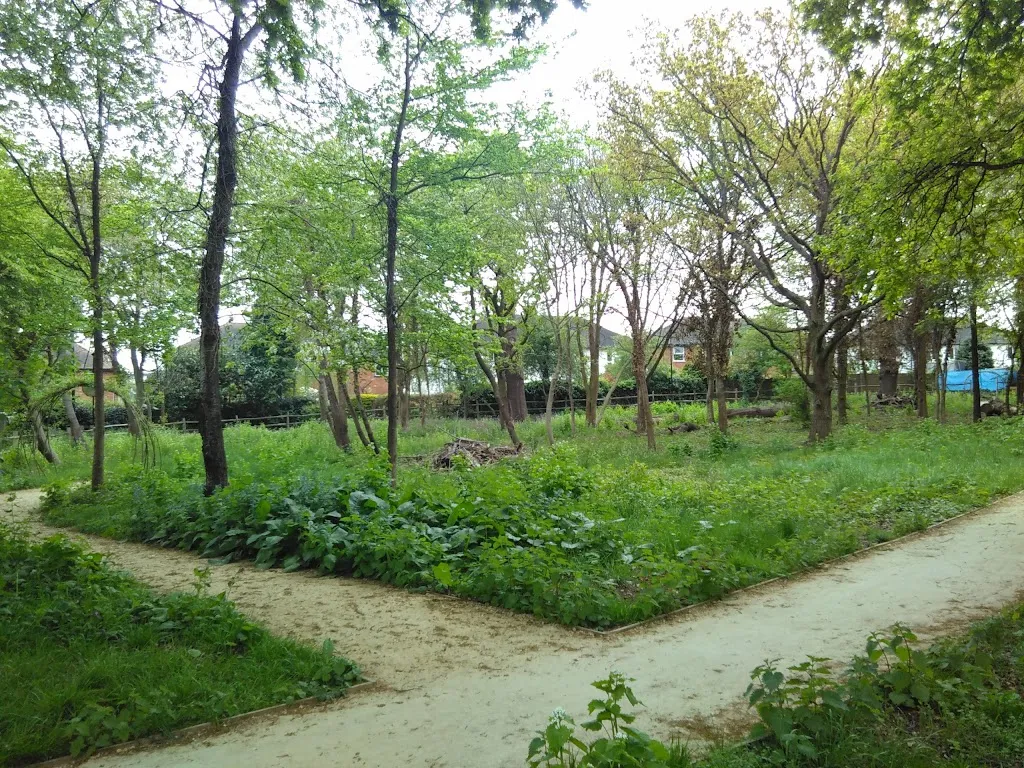 Copley Wood