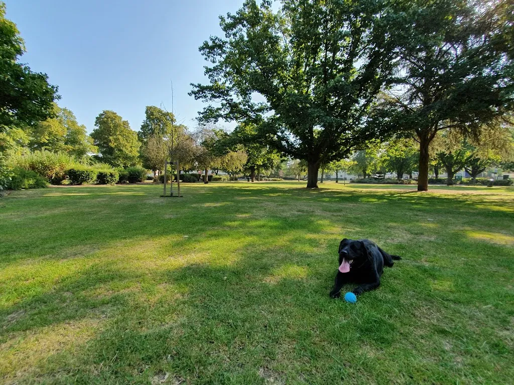 Cottons Park