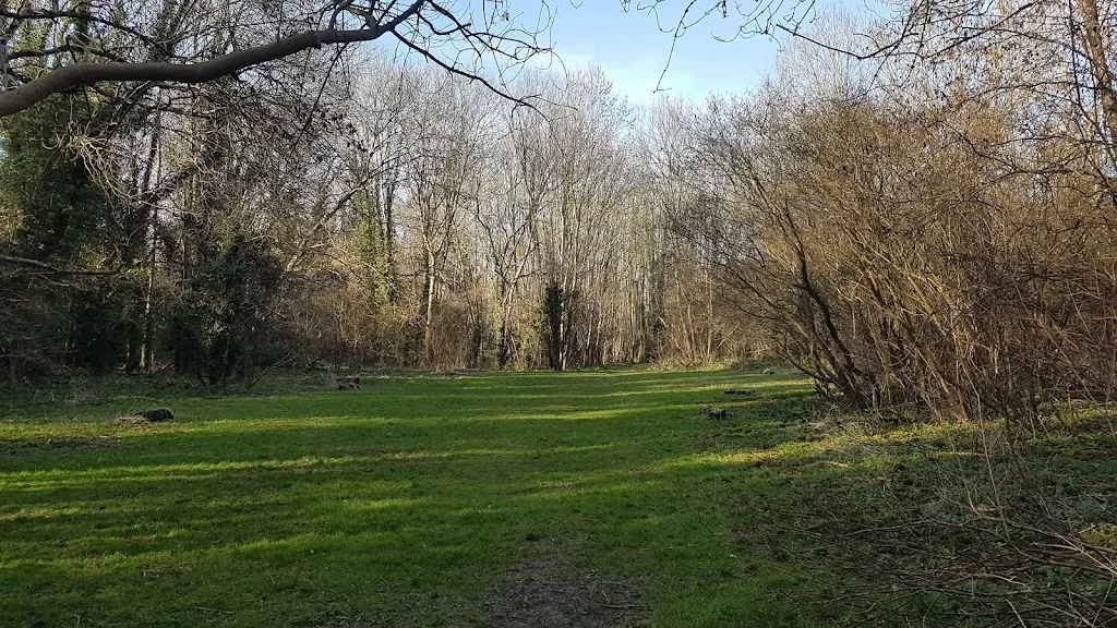 Coulsdon Coppice