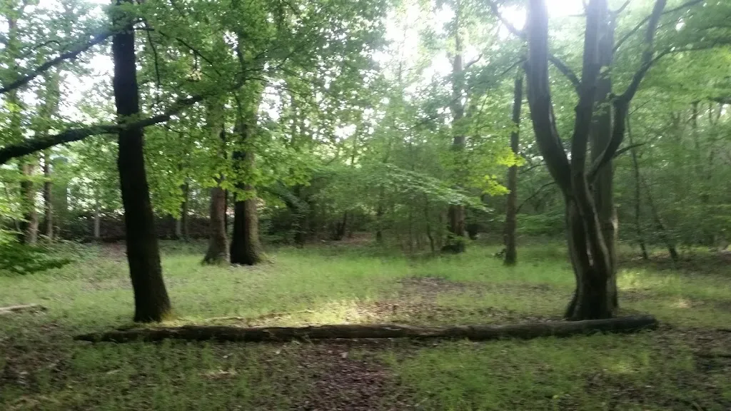 Cranham Brickfields Local Nature Reserve