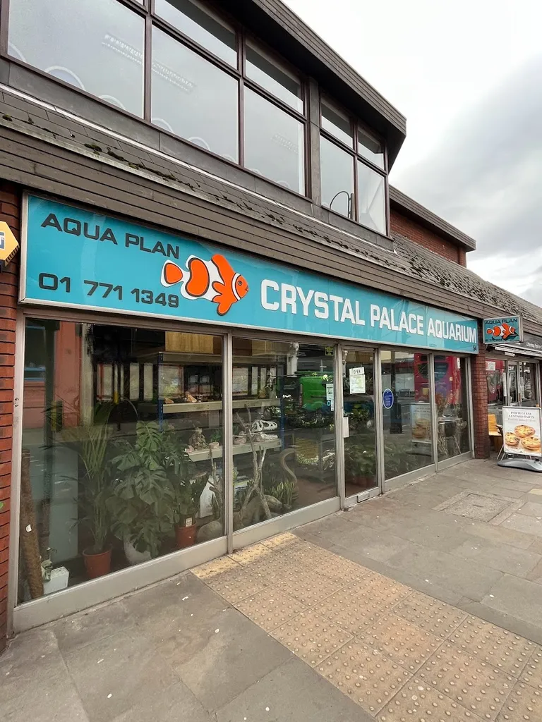 Crystal Palace Reptiles