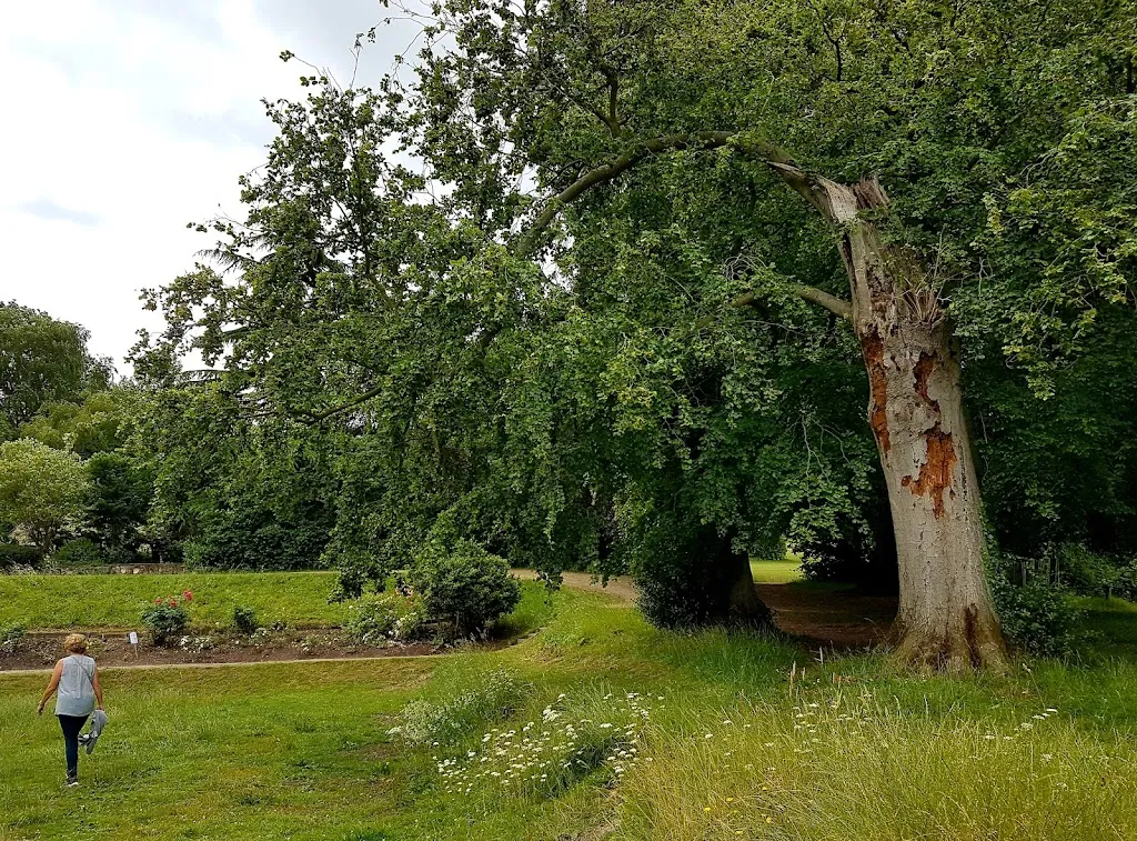 Cudham Lane Recreation Ground (North)