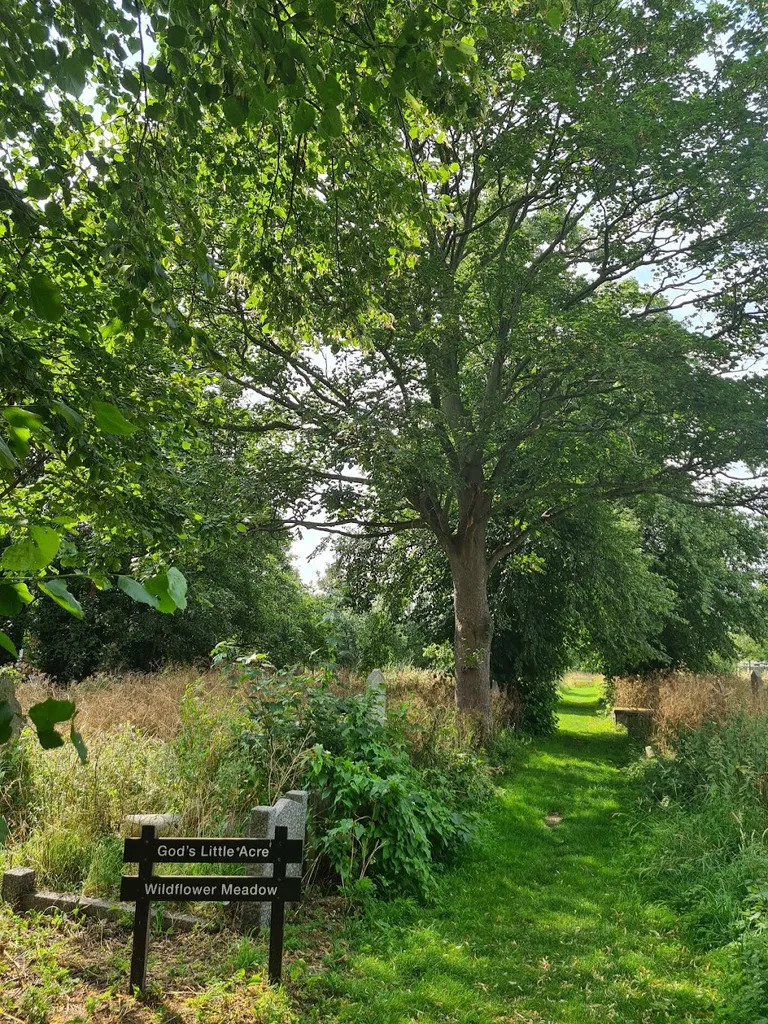 Dagenham Parish Churchyard Nature Reserve