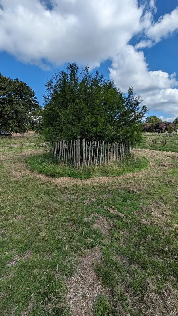 Dave Lofthouse Memorial Woodland