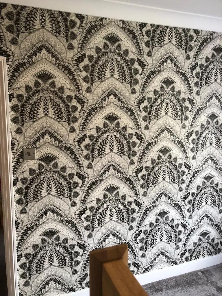DB Painting And Decorating
