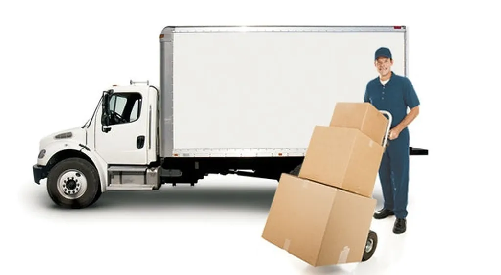 DC Removals South London🥇
