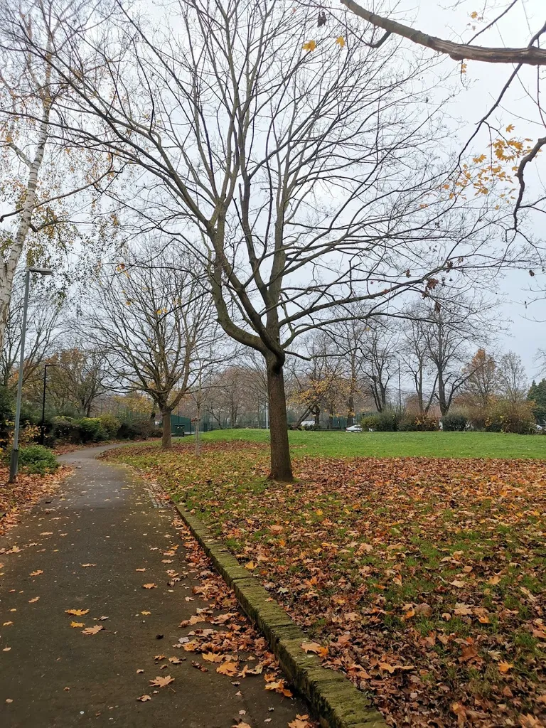 Densham Road Open Space