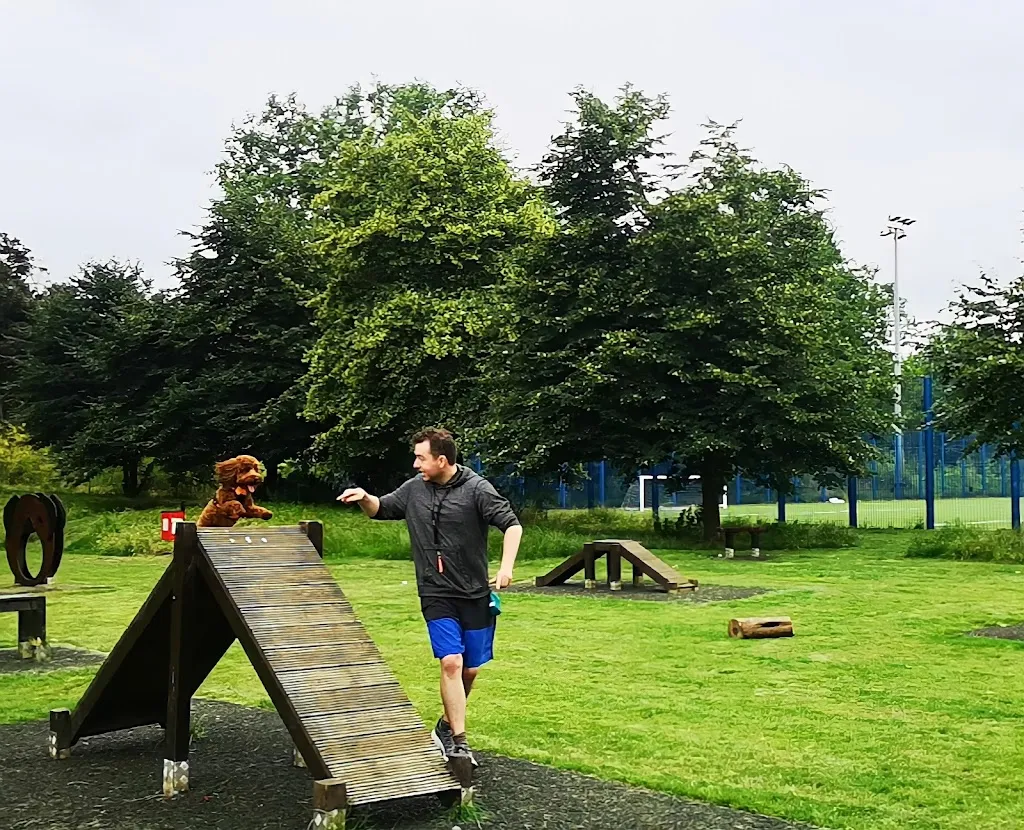Dog Agility Park