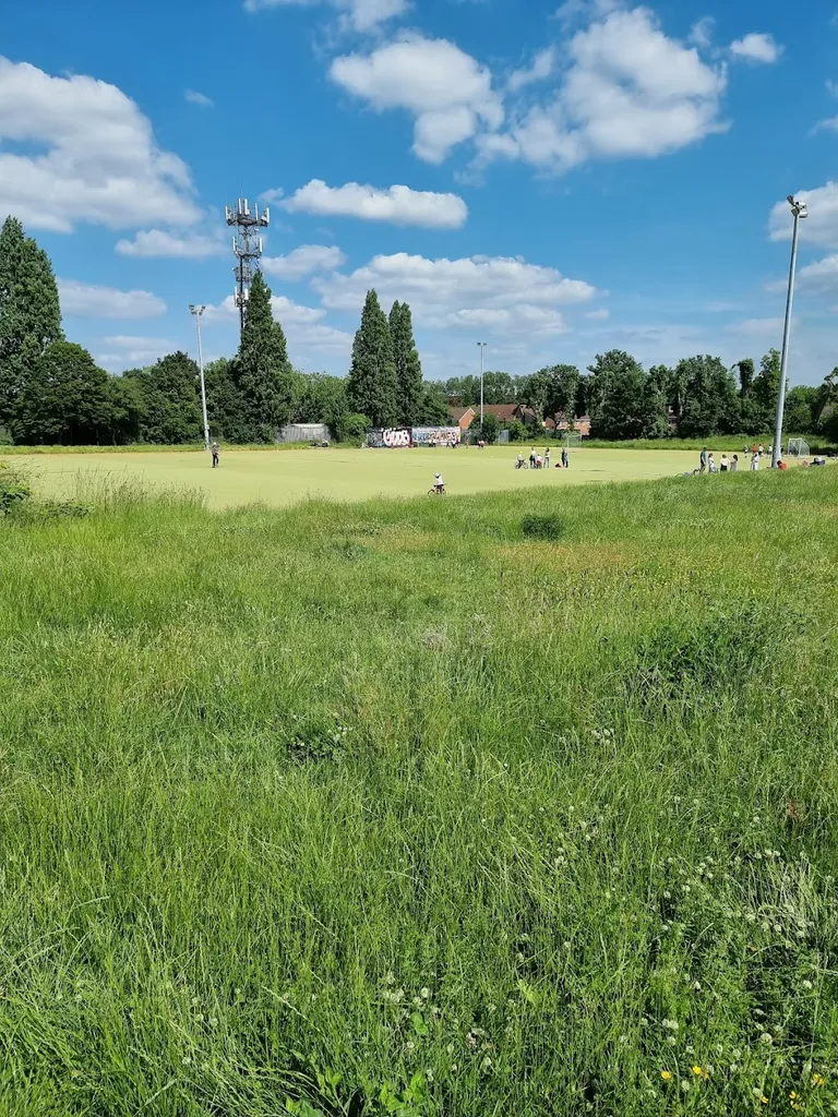 Dog Kennel Hill Open Space