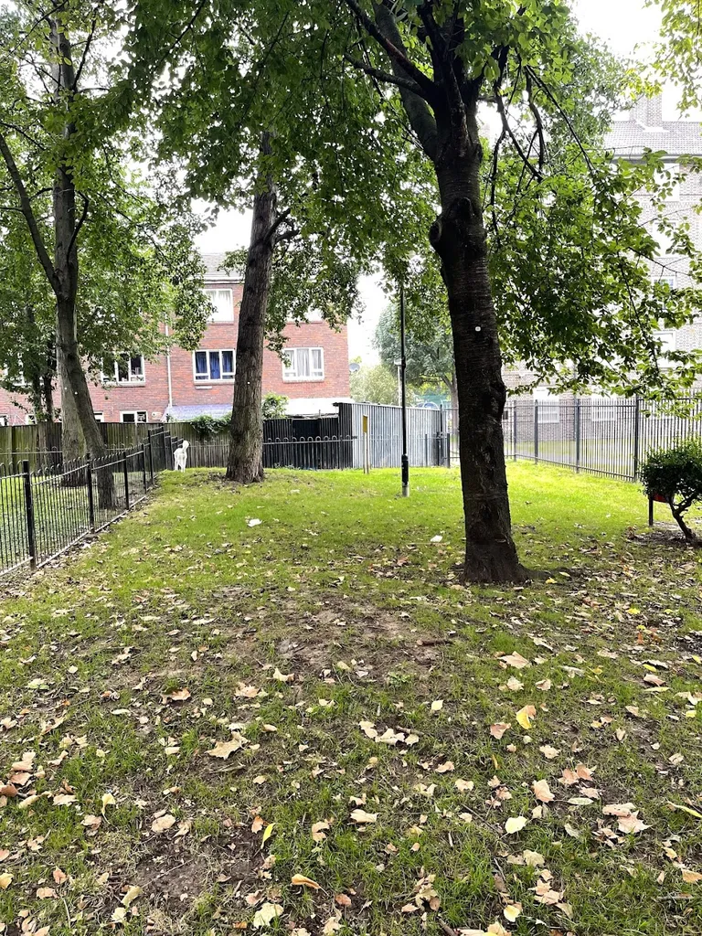 Dog Park