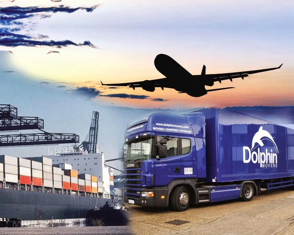 Dolphin Movers