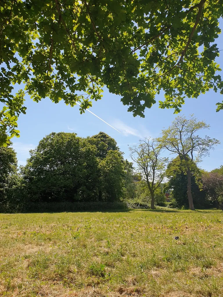 Downham Playing Fields