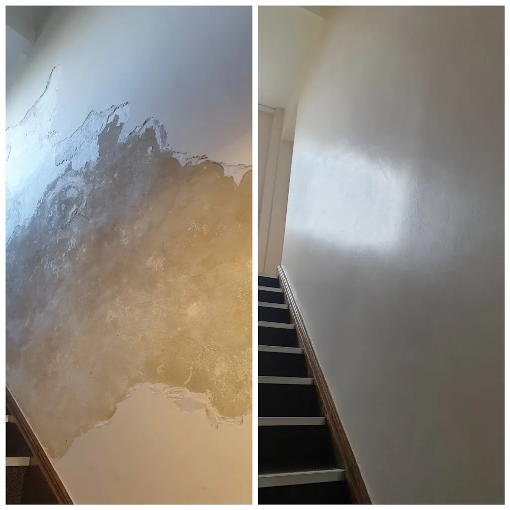 DS painting & decorating specialist
