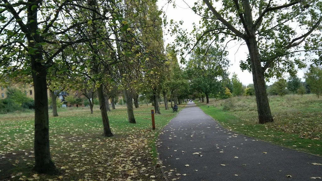 Duck Feeding Ground