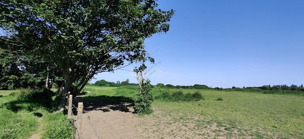 Earl of Jersey's Field