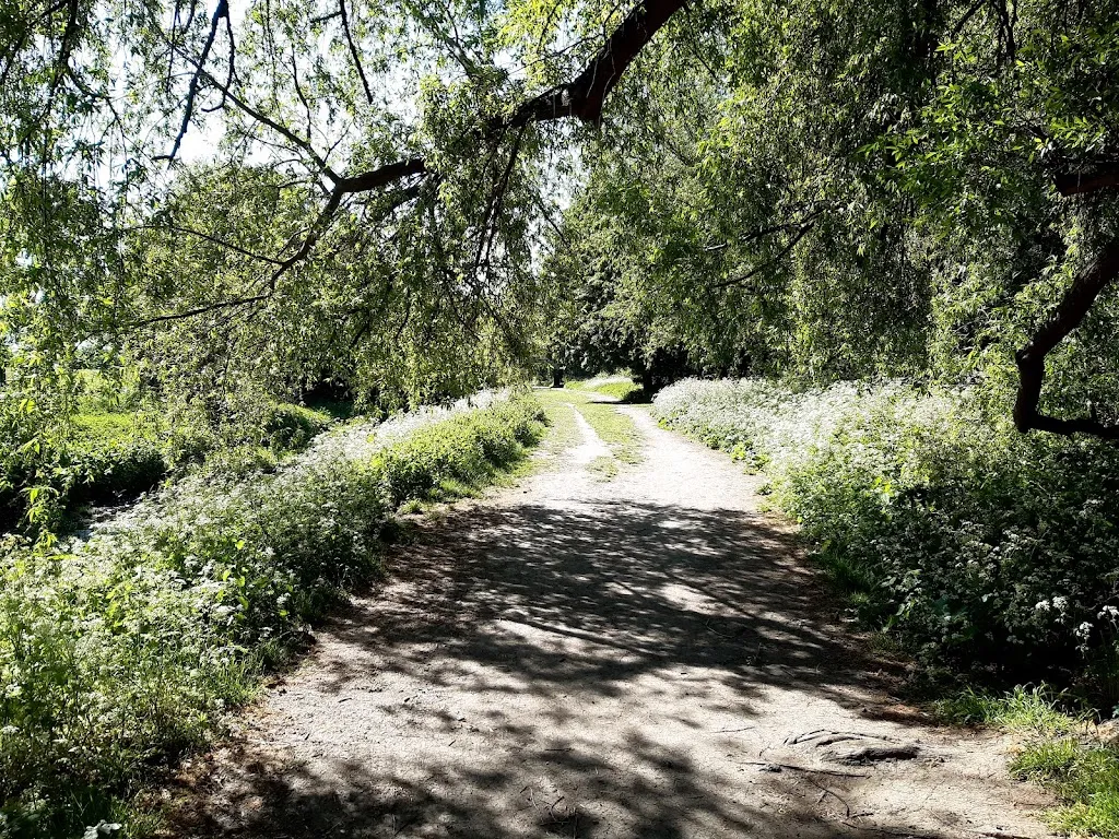 Elmbridge Meadows Open Space