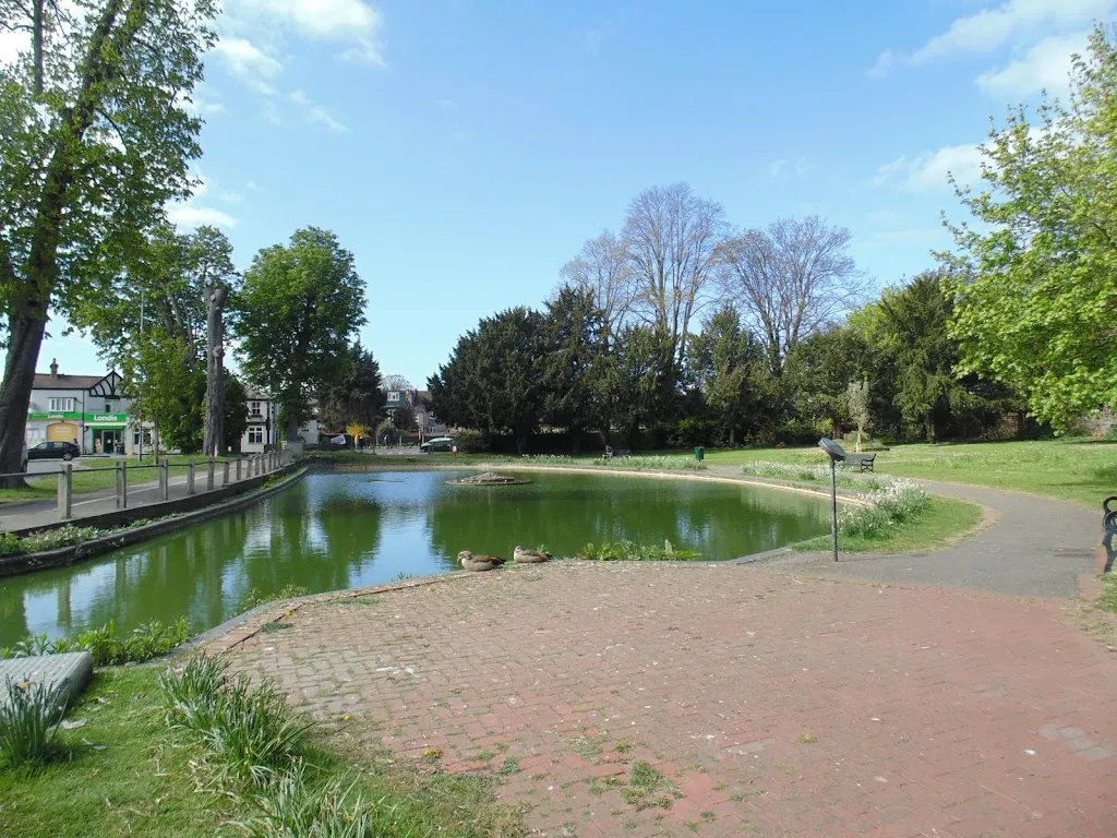 Elms Pond