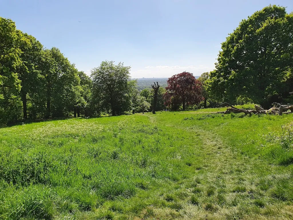 Eltham Common