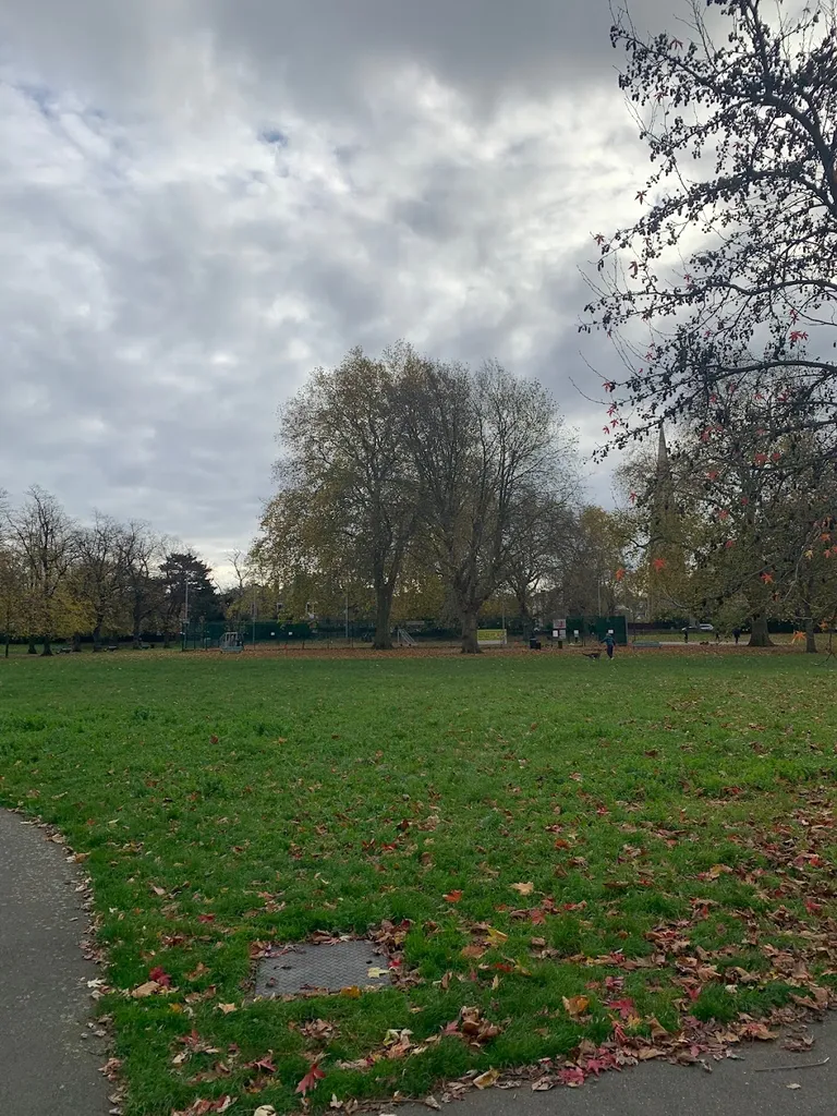 Enclosed Dog Park
