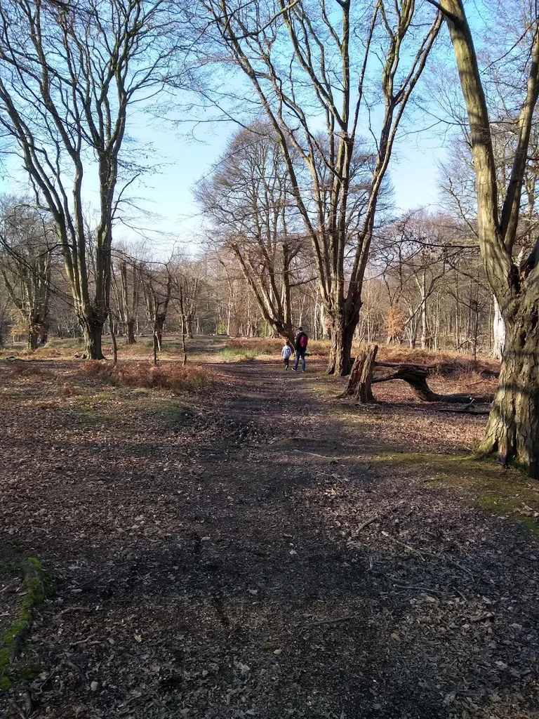 Epping Forest