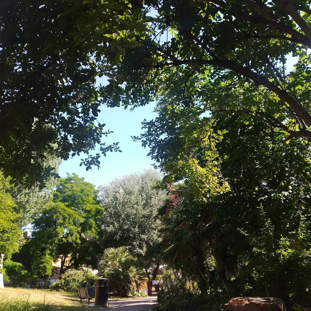 Falmouth Road Gardens