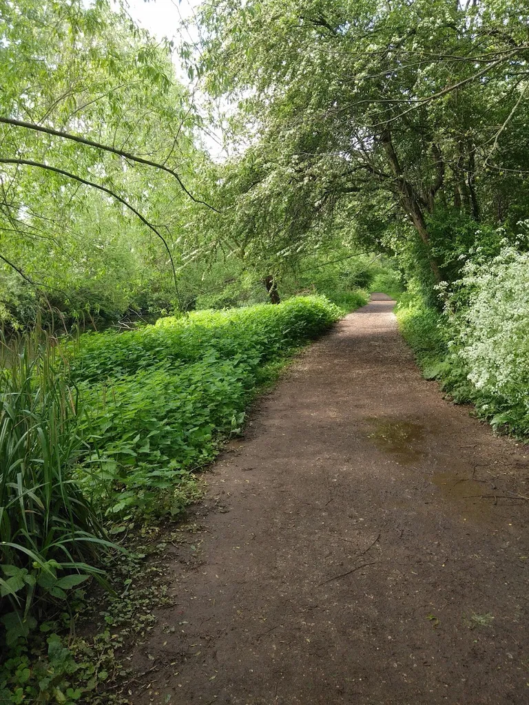 FitzHerbert Walk