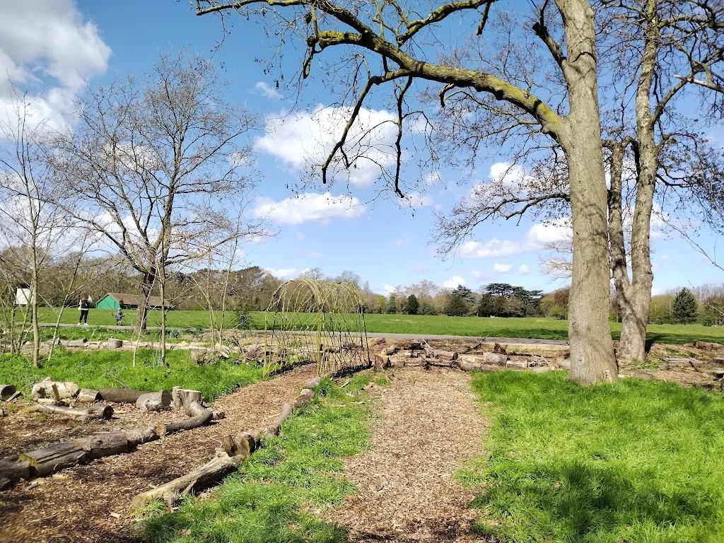 Forest Garden