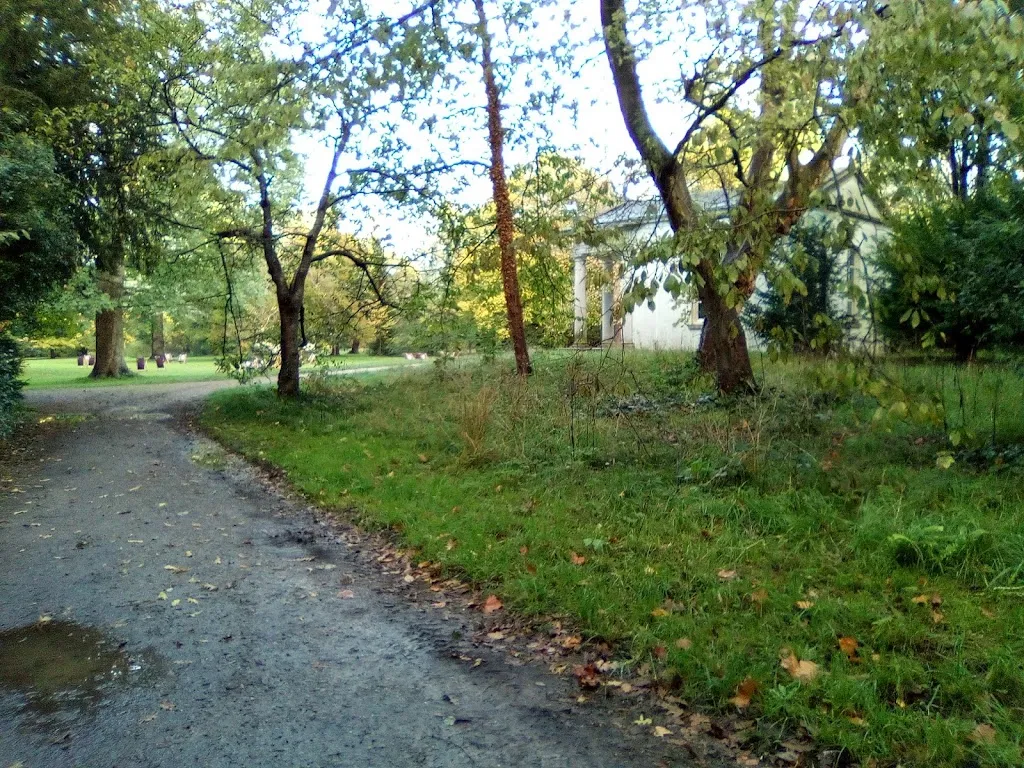 forest walk