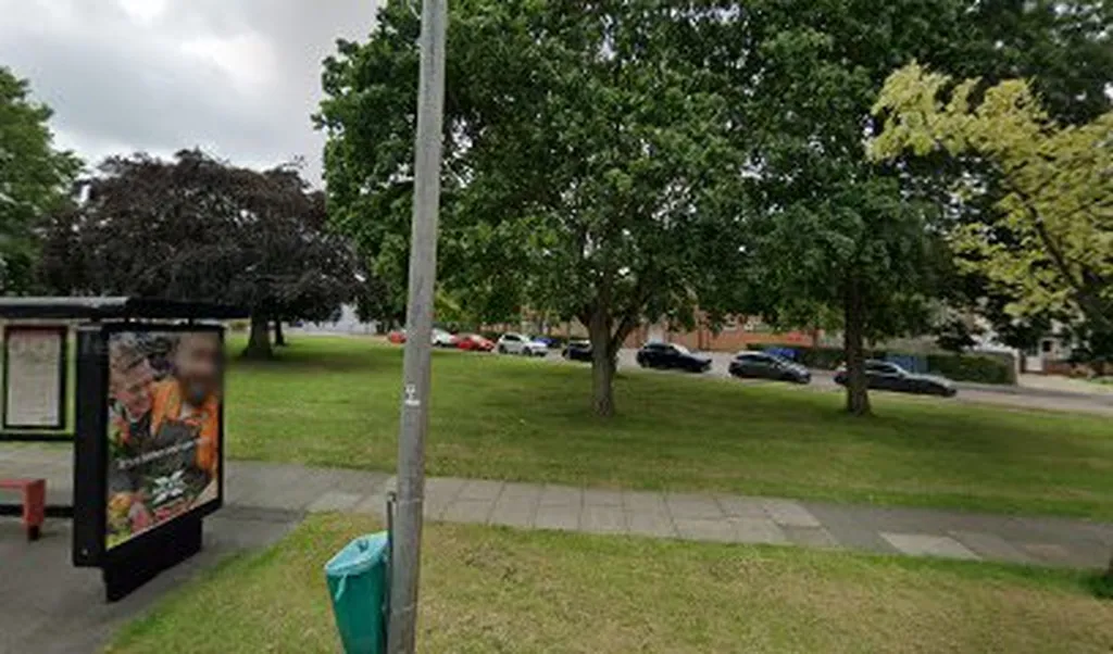 Frankswood Amenity Green