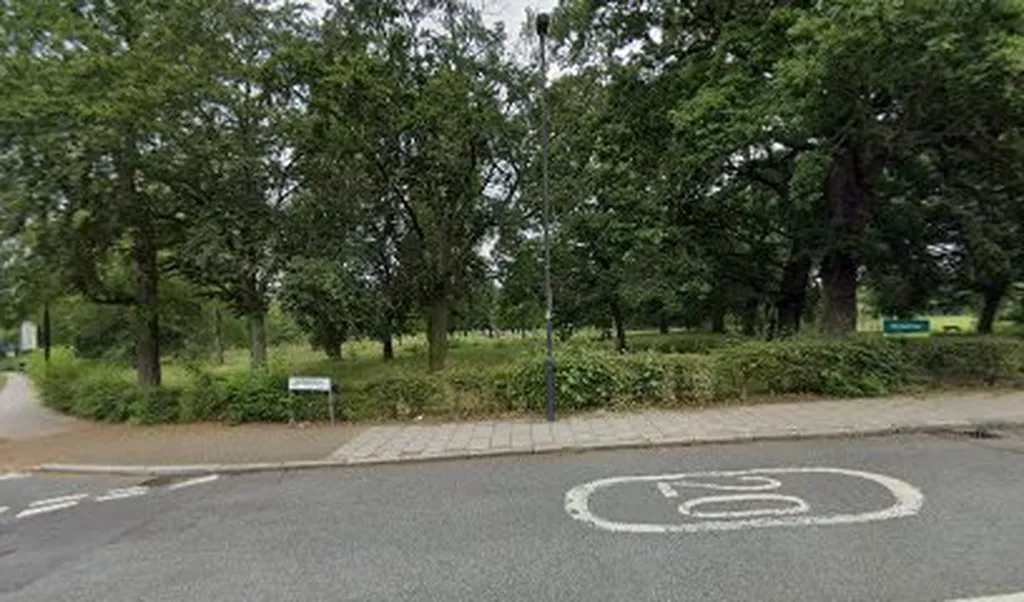 Friends of Norwood Park