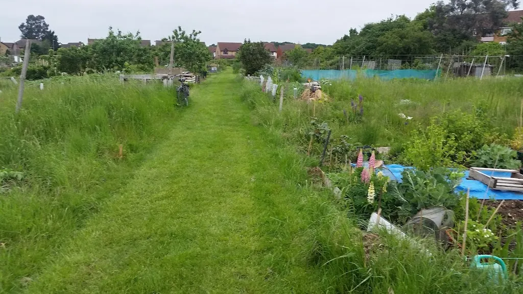 FULLWELL AVENUE ALLOTMENTS