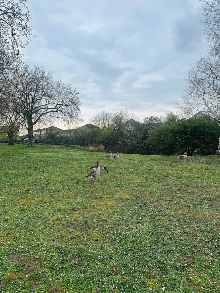 Gallions Reach Park
