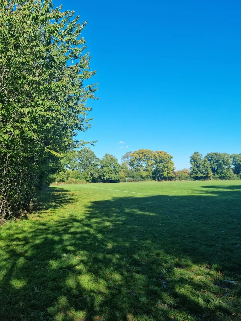 Goddington Park