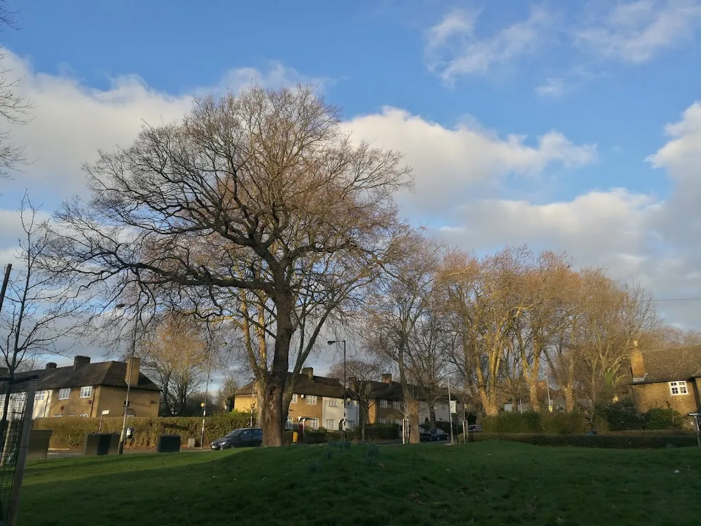 Green Dale Fields