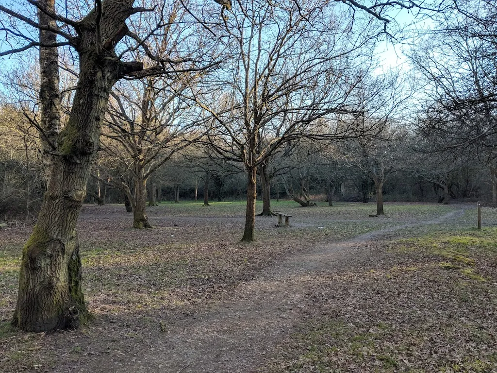 Gumping Common