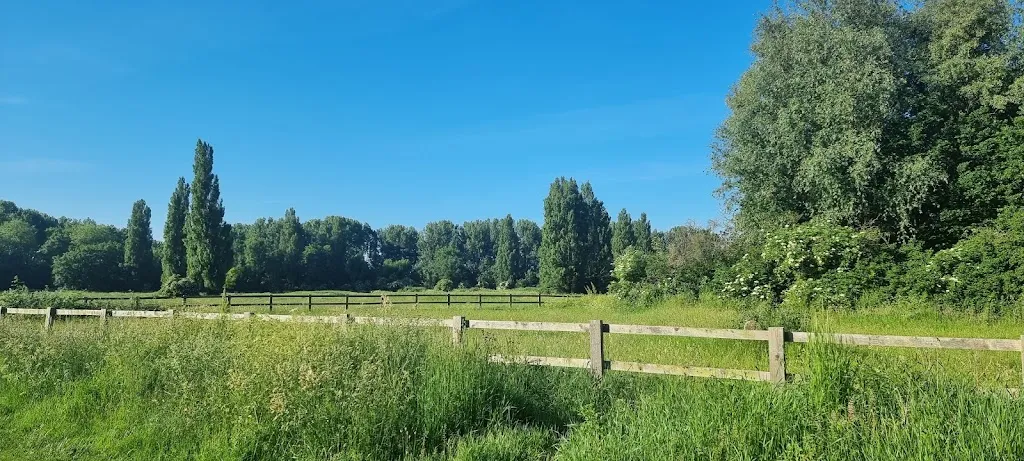 Hackney Marsh North East Side