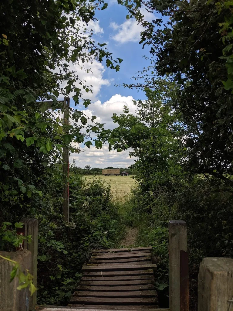 Hacton Meadows
