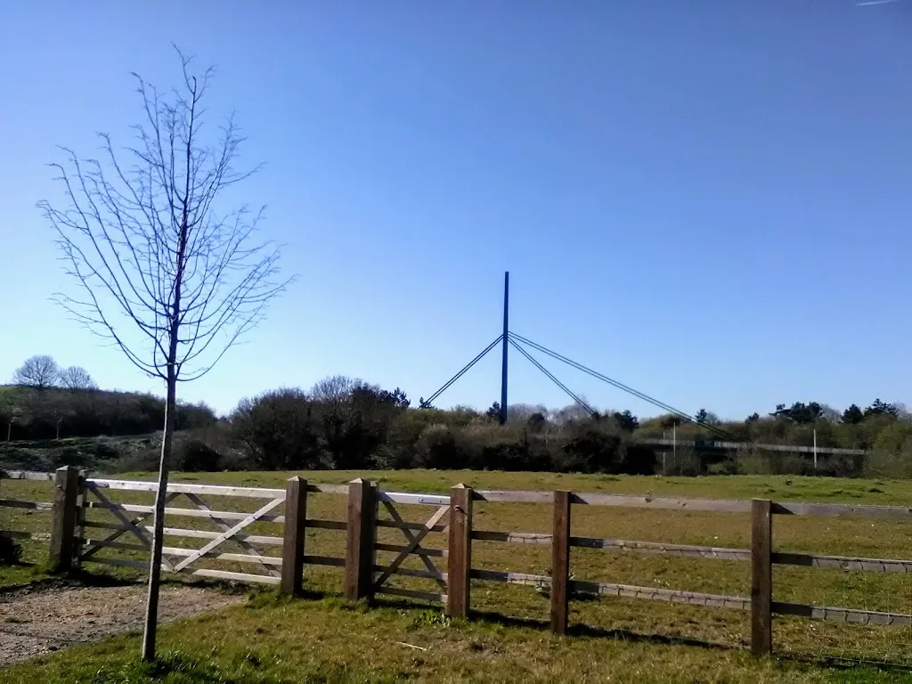 Hale Field Park