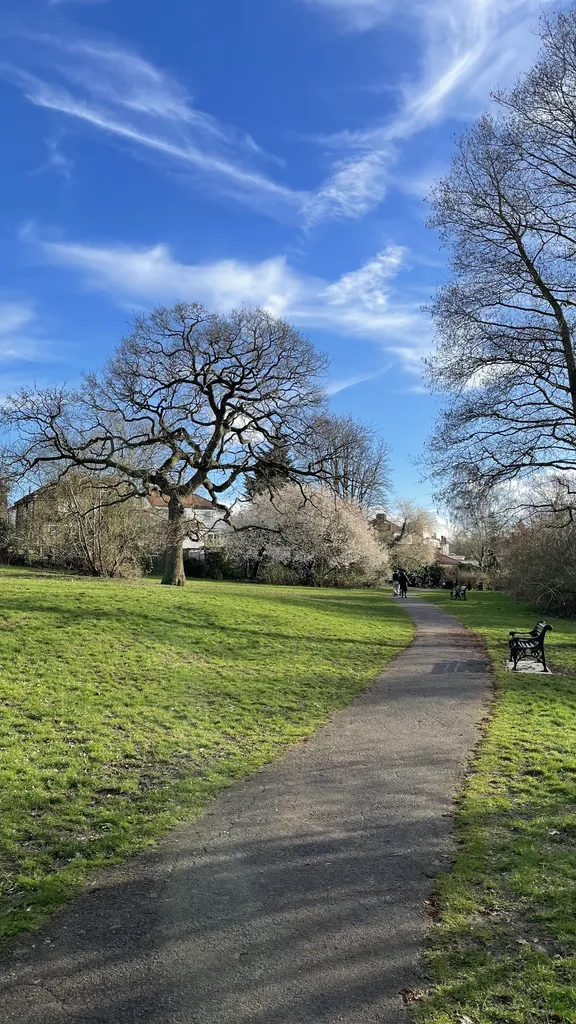 Harcourt Avenue Open Space