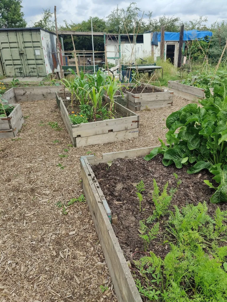 Harmony Gardens