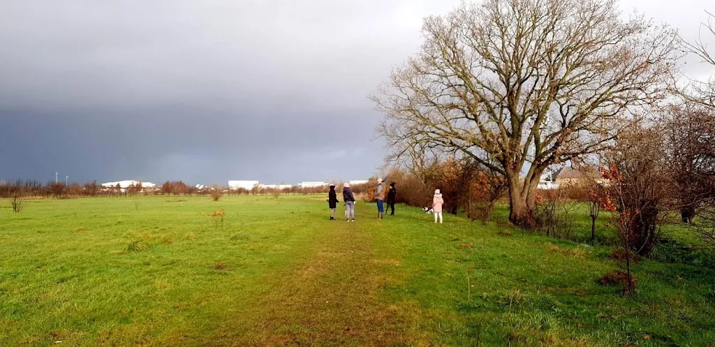 Hatton Fields
