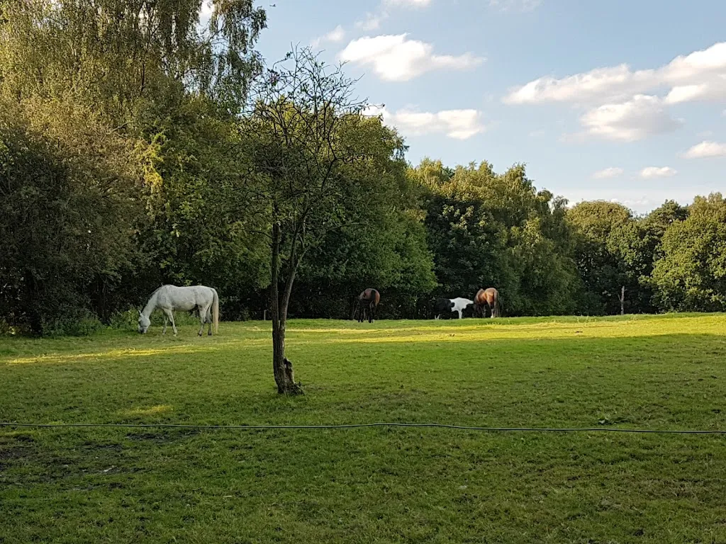 Havering Country Park